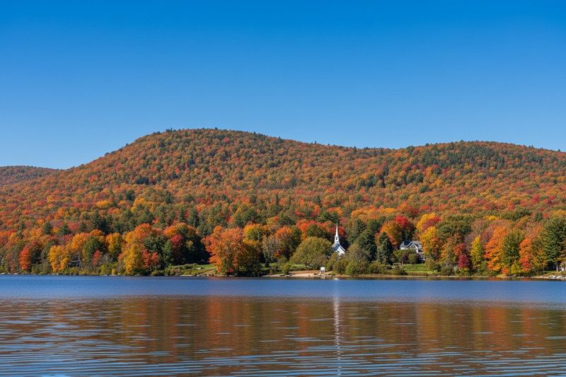 Best Tub To Shower Conversion pros in Exeter, NH